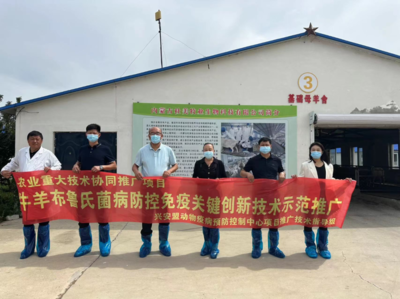 创新技术赋能布病防控——内蒙古动物疫病预防控制中心赴兴安盟推广免疫关键创新技术