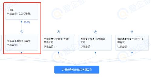王思聪跨界布局，投资成立半导体制造公司引领技术新浪潮
